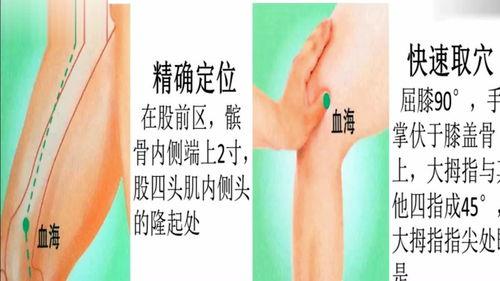 血海穴视频,揭秘人体养生之要穴