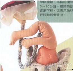 胎儿入盆视频观看,直观视频带你了解孕期关键时刻