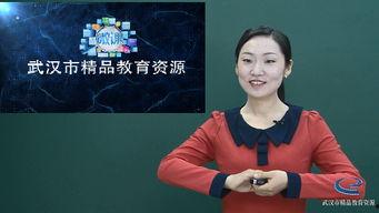 讲师视频,深度解析教学艺术与技巧